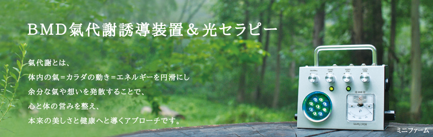 氣代謝・光セラピー,BMDシステム No.Vs | ひのきの森byBMD