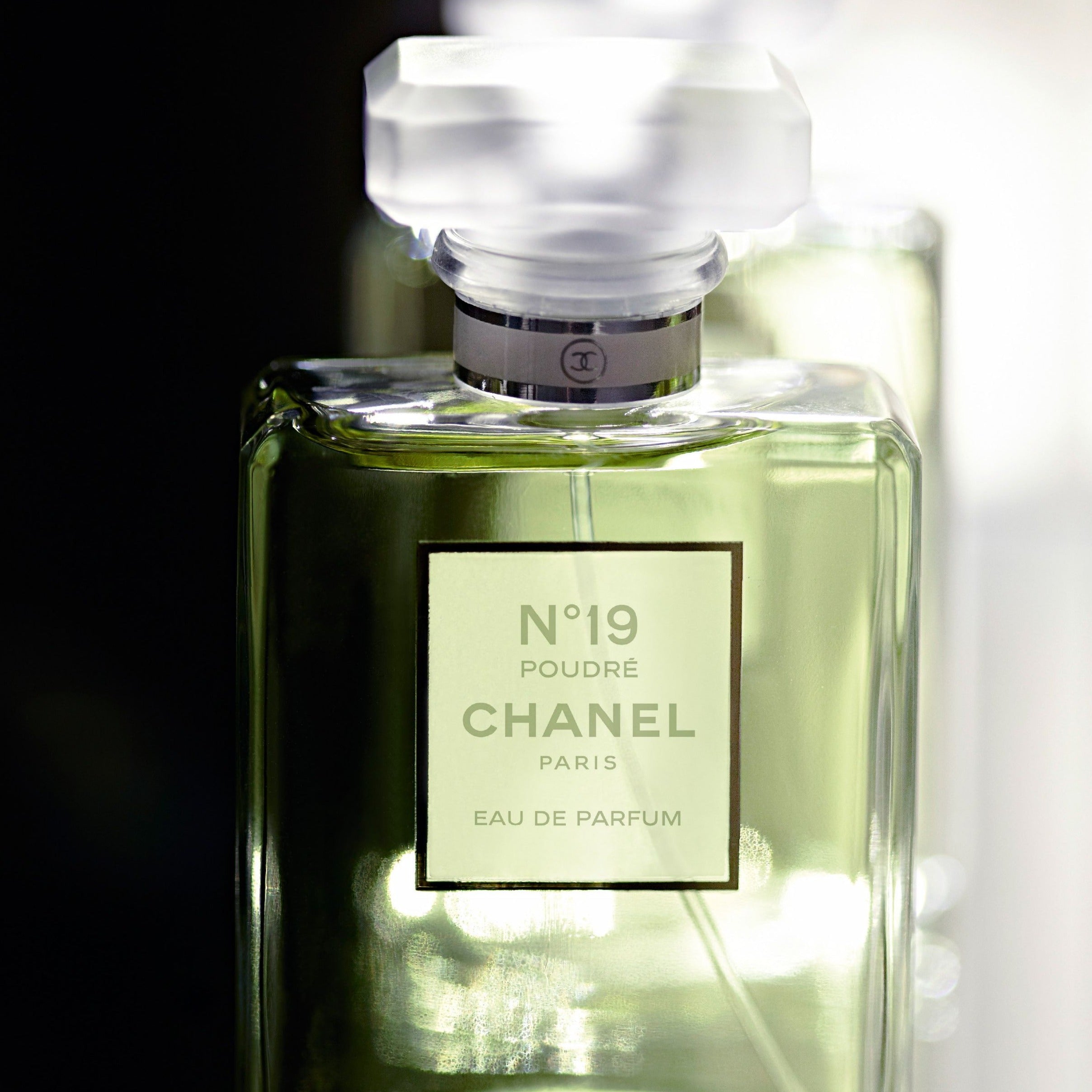 Shop Chanel No.19 Poudre EDP in Australia