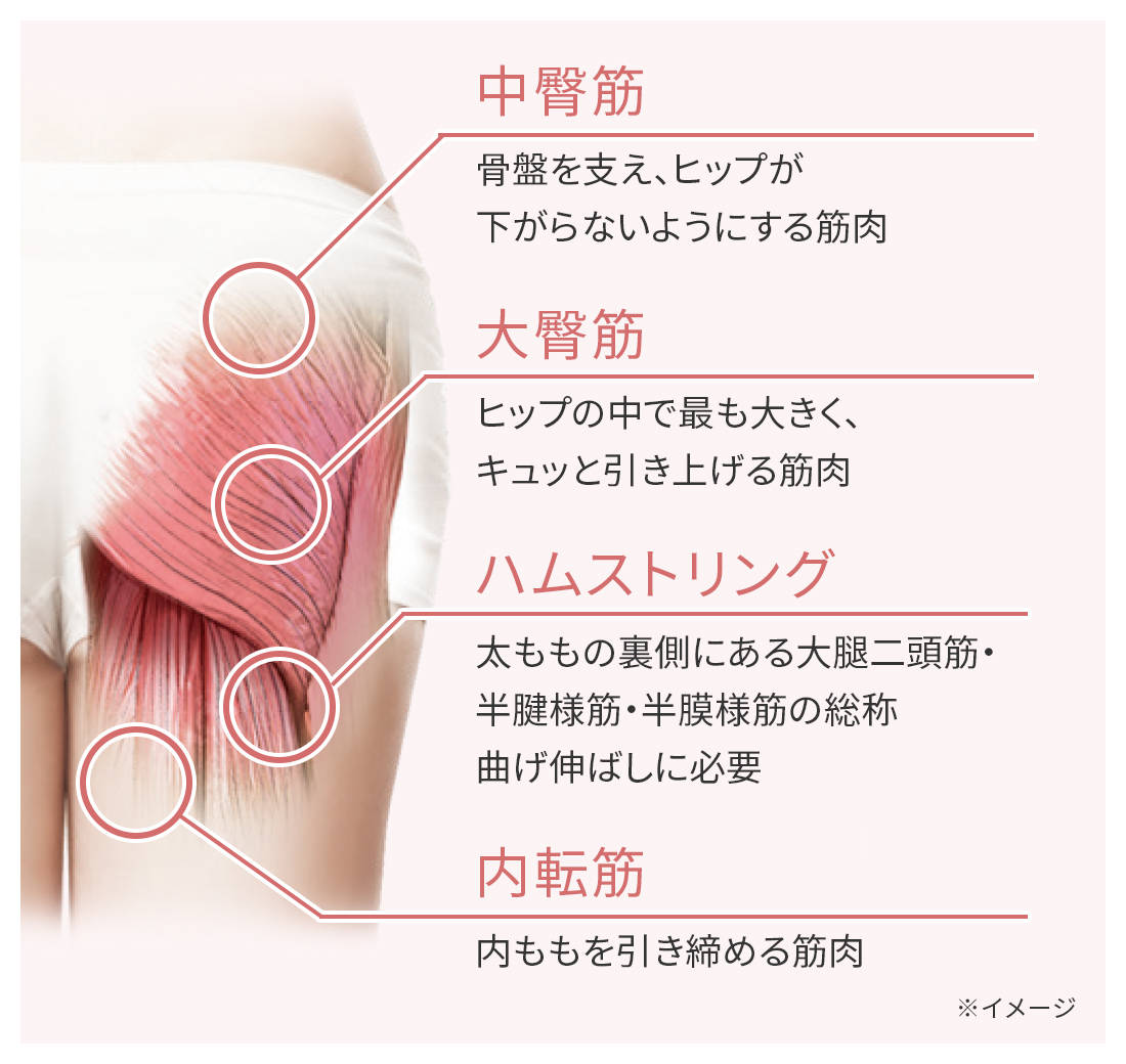 座るだけで下半身トータルケア「スパトレーナー」｜カンタン、キレイ