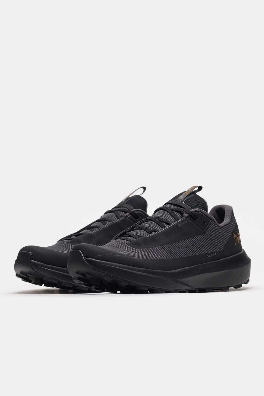 Norvan LD 4 Gore-Tex Sneaker in Black/Black - Arc'Teryx