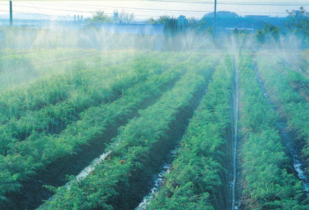 スミサンスイマークⅡ(100m): 農業資材