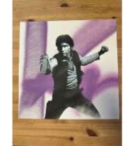 アメリカのストリートカルチャーの伝説的アート展【BEAUTIFUL LOSERS