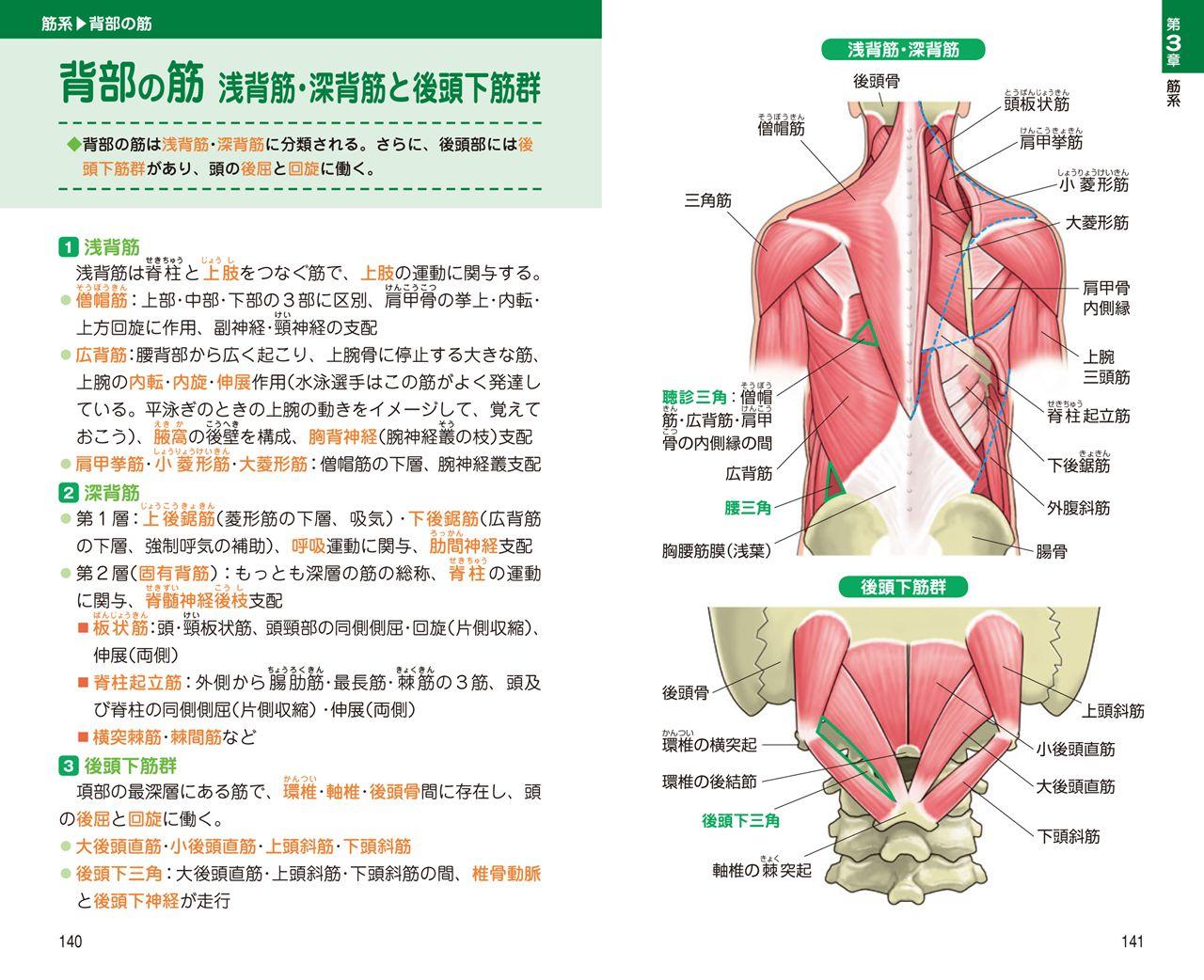 早わかり 解剖学ハンドブック | ナツメ社