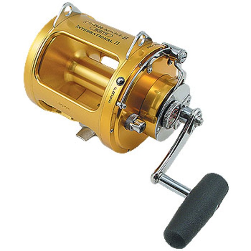 PENN(ペン) インターナショナルII 2スピード 180-80STW｜アウトドア