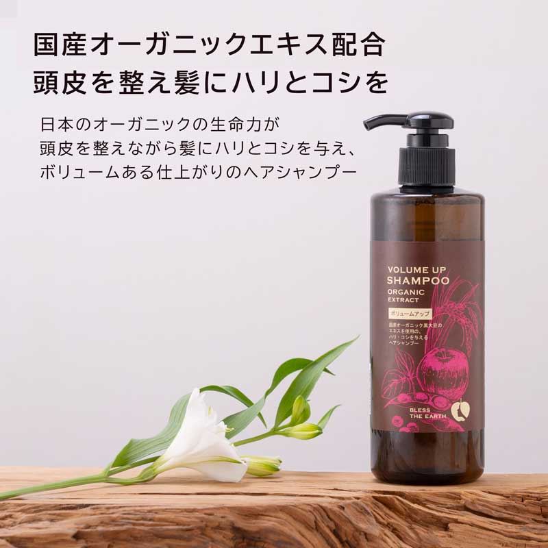 ベルセレージュ シャンプーボリュームアップ 2 コレクション