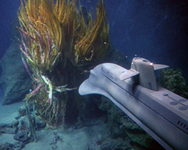 原潜シービュー号/海底科学作戦 DVD COLLECTOR'S BOX Vol.4 