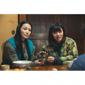 舟を編む ～私、辞書つくります～ DVD 全5枚｜国内ドラマ｜DVD