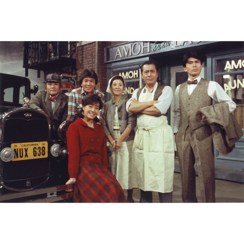 大河ドラマ 山河燃ゆ 完全版 DVD全2巻セット