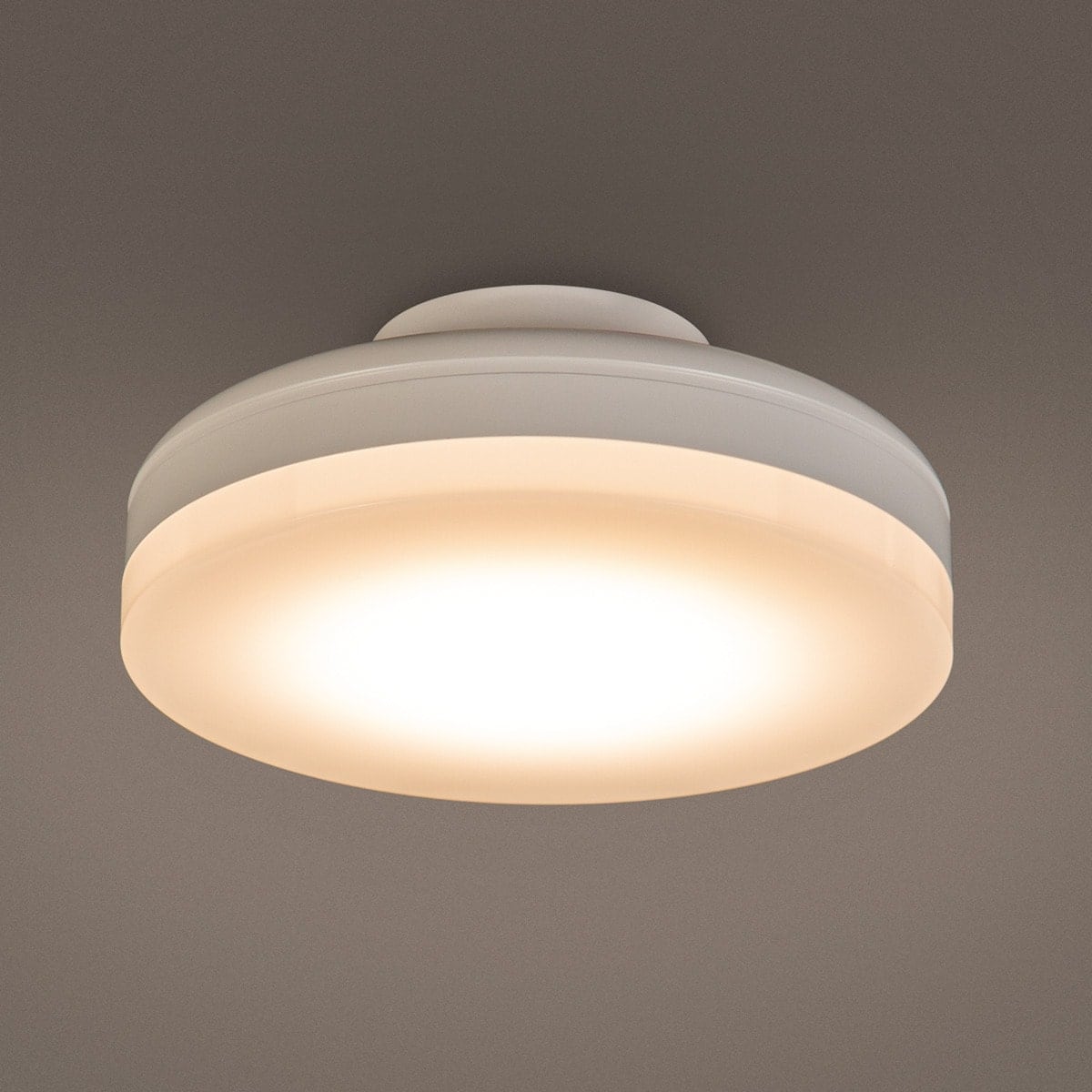 シーリングライト 蛍光灯 | ニトリネット【公式】 家具・インテリア通販