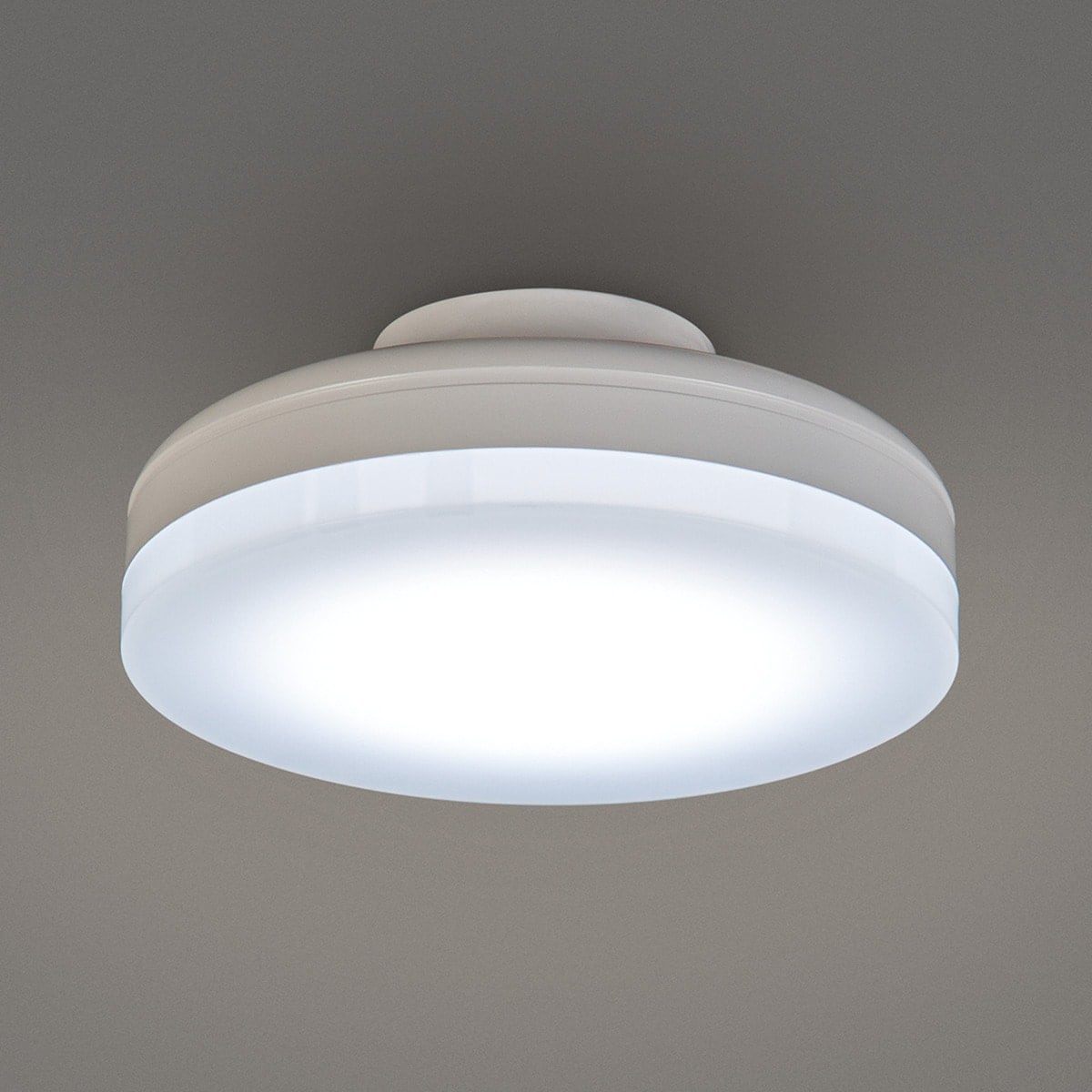 LEDミニシーリングライト (60D) | ニトリネット【公式】 家具