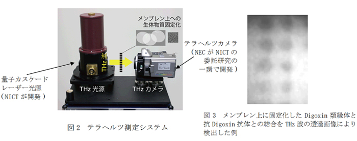 プレスリリース | テラヘルツ波を用いたラベルフリー生体物質検査