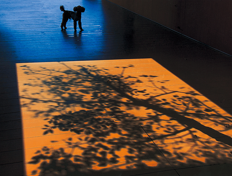 第66回二科会写真部展 – 一般社団法人二科会写真部