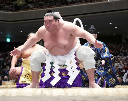 年寄名跡解説】照ノ富士は名跡未取得も横綱は5年限定でしこ名で親方