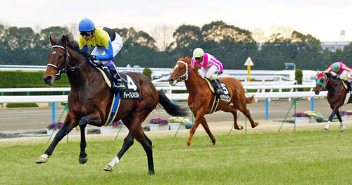 毎日ベスト3】名馬ずらり！若駒Sを制したダービー馬ベスト3 - 毎日