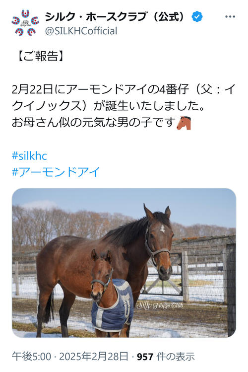 アーモンドアイ×イクイノックスの牡馬が誕生「宝物のような血統