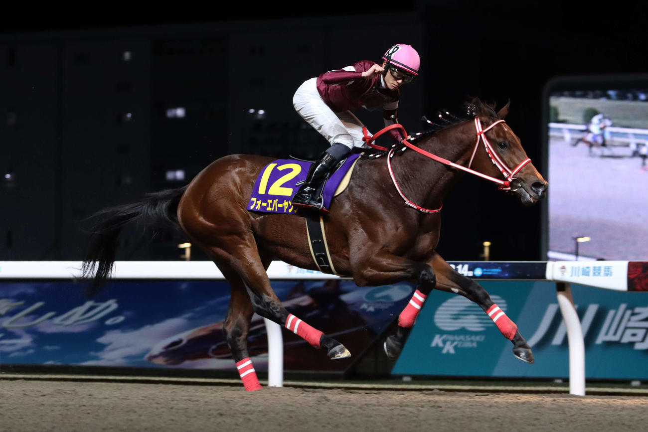 全日本2歳優駿】昨年セレクトセール9800万円落札馬が“ウマ娘”藤田晋氏