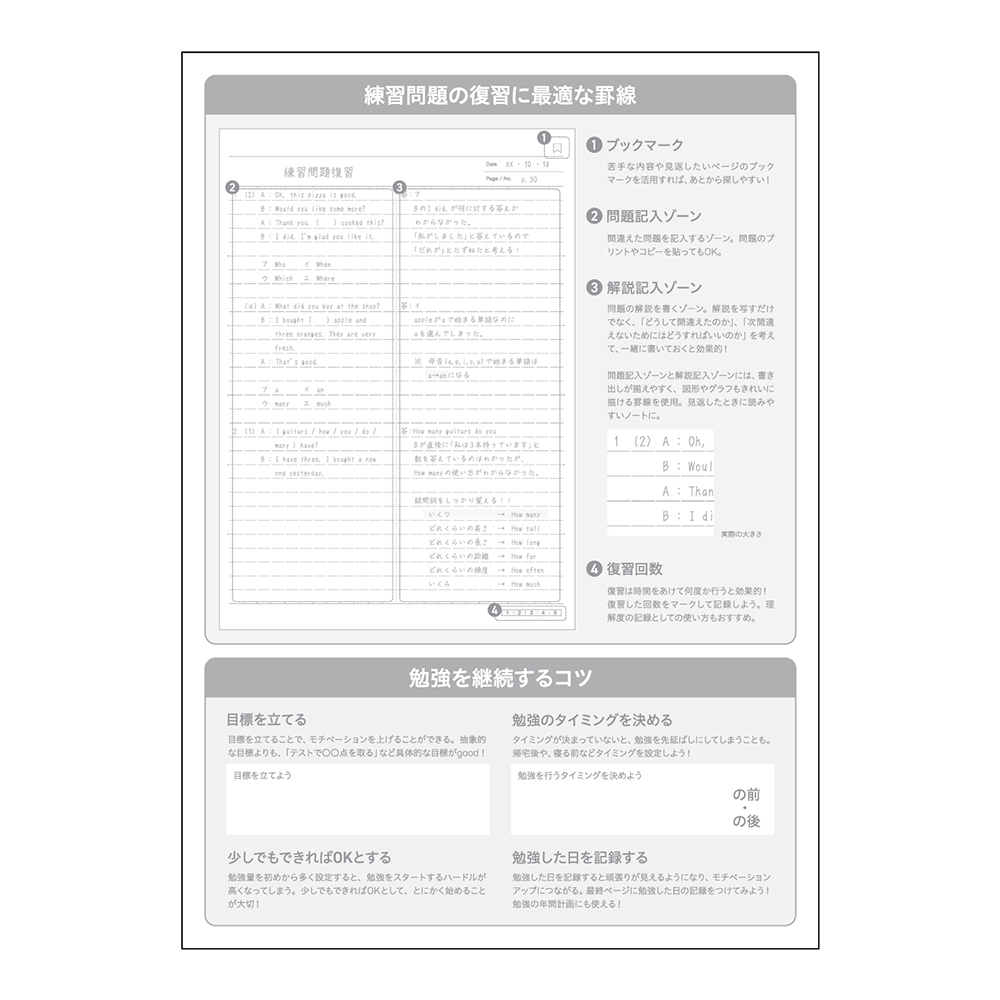 X-ZONE（クロスゾーン ）セミB5 センターラインA罫 コーラル | 日本