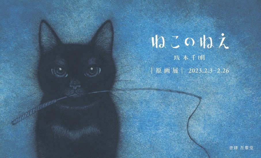 坂本千明「ねこのねえ」原画展 2023年2月3日(金) 〜 2023年2月26日(日