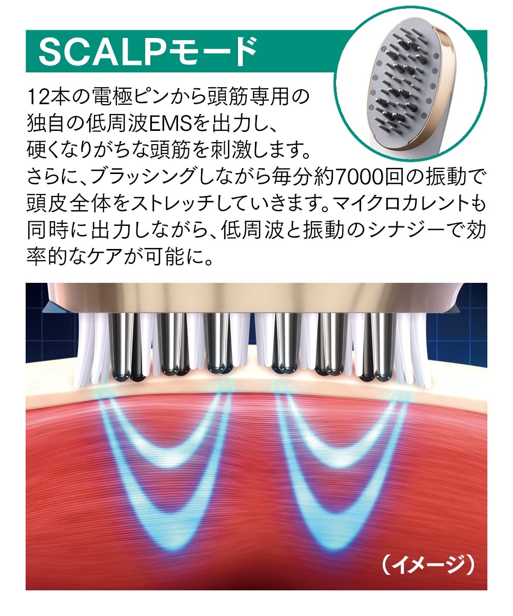 ミーゼ スカルプリフト プラス（ポーチ付）＜頭皮＆表情筋ケア＞ 通販