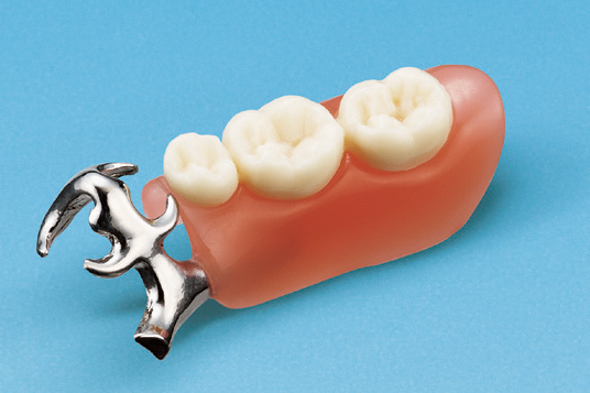 デンチャー比較模型 [PE-PRO005(ピンク) / PE-PRO009(クリア)]｜株式