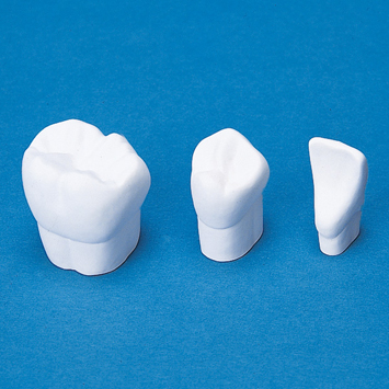 商品情報｜株式会社ニッシン｜歯科模型・歯科材料のトップメーカー