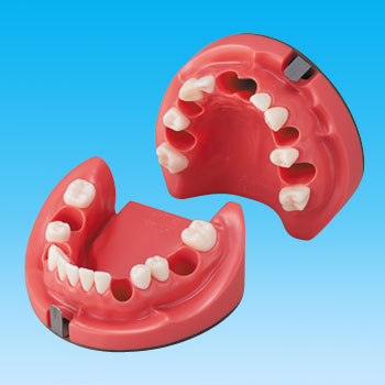 歯内療法領域｜株式会社ニッシン｜歯科模型・歯科材料のトップメーカー