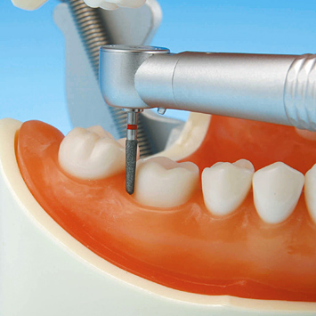 補綴修復実習用顎模型 [D18FE-500A-QF](FE咬合器つき)｜株式会社