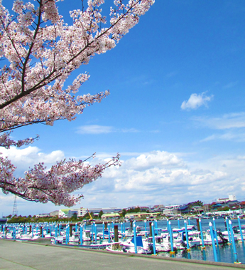 二見ボートパーク
