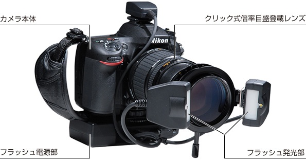 サイドwフラッシュシステム