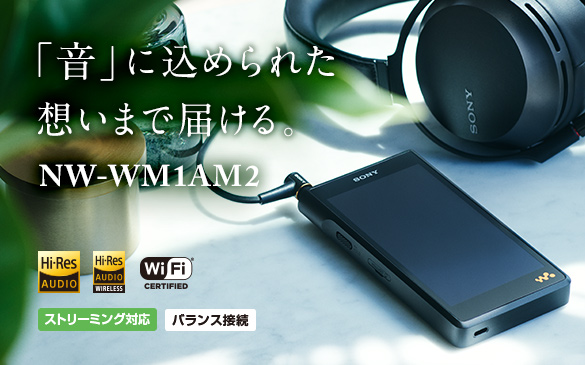 NW-ZX2 | ポータブルオーディオプレーヤー WALKMAN ウォークマン | ソニー