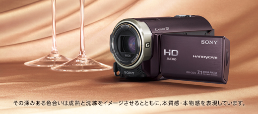HDR-CX370V 特長 : 使いやすい快適操作 | デジタルビデオカメラ