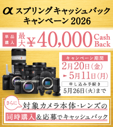 Eマウントレンズ 商品一覧 | デジタル一眼カメラα（アルファ） | ソニー