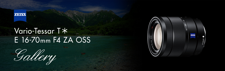 Vario-Tessar T＊ E 16-70mm F4 ZA OSS 特長 | デジタル一眼カメラα
