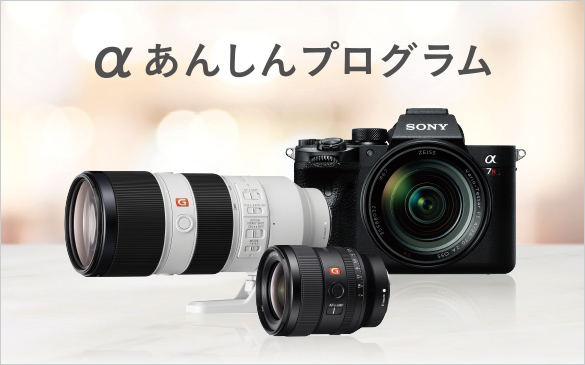 ソニーストアがご提案するαで楽しむ動画撮影 | デジタル一眼カメラα