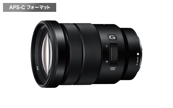 ソニーストアがご提案するαで楽しむ動画撮影 | デジタル一眼カメラα