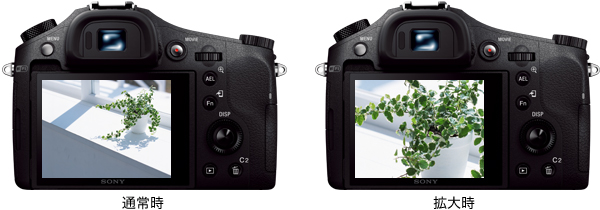 RX10II(DSC-RX10M2) 特長 : 充実の基本性能 | デジタルスチルカメラ