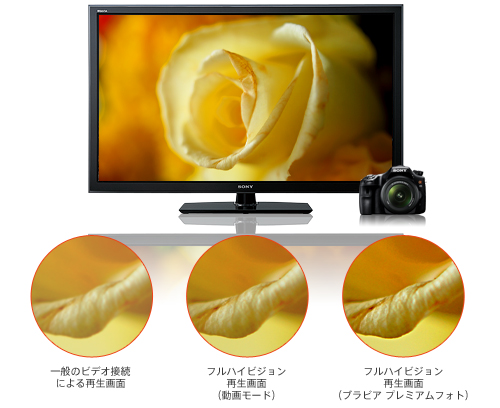 α65 特長 : 撮ったあとの楽しみ | デジタル一眼カメラα（アルファ