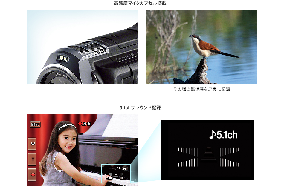 HDR-PJ800 特長 : 高音質機能 | デジタルビデオカメラ Handycam