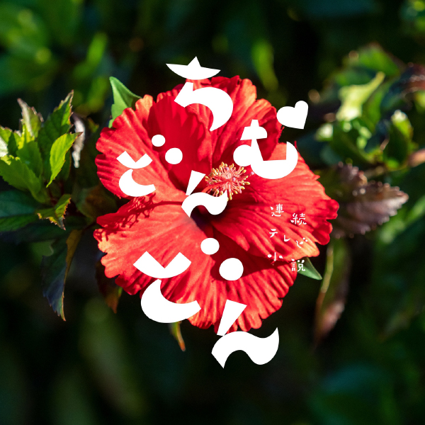 てぃんさぐぬ花 | 比嘉歌子 (NHK連続テレビ小説「ちむどんどん」より