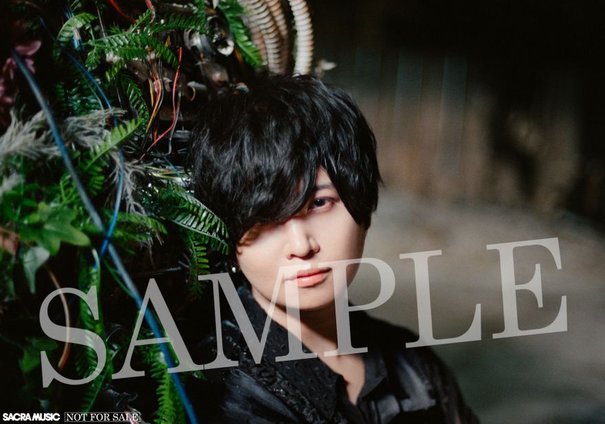 12月7日発売、3rd EP 『陰／陽』の店舗購入者特典絵柄公開！ | 斉藤壮