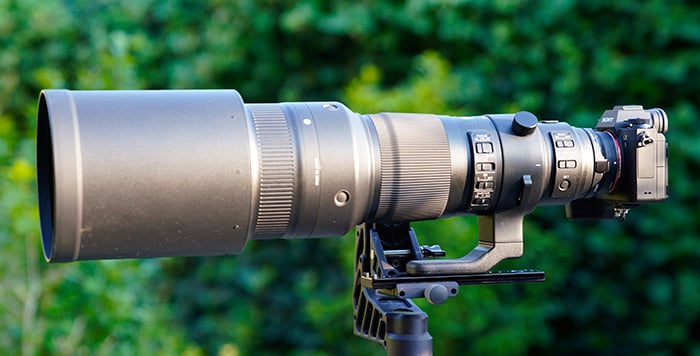 SIGMA 500mm F4 SPORTS canon-mount tested on the Sony (Gustav