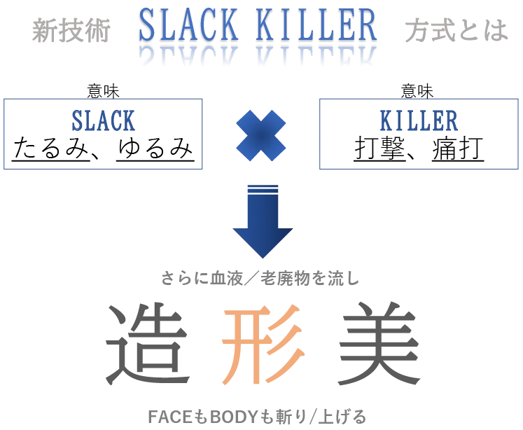 PYR KNIGHT (パイラナイト) ｜ホームケア用複合最新美容機器