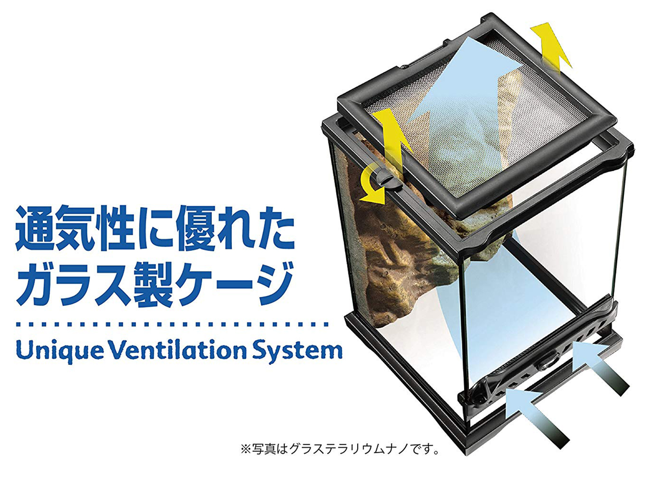 爬虫類ショップ サウリア守口店｜グラステラリウム ナノキューブ