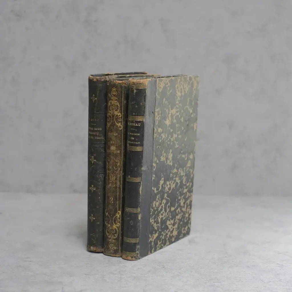 アンティークブック フランス 革張りの古書 19世紀 | 雑貨と