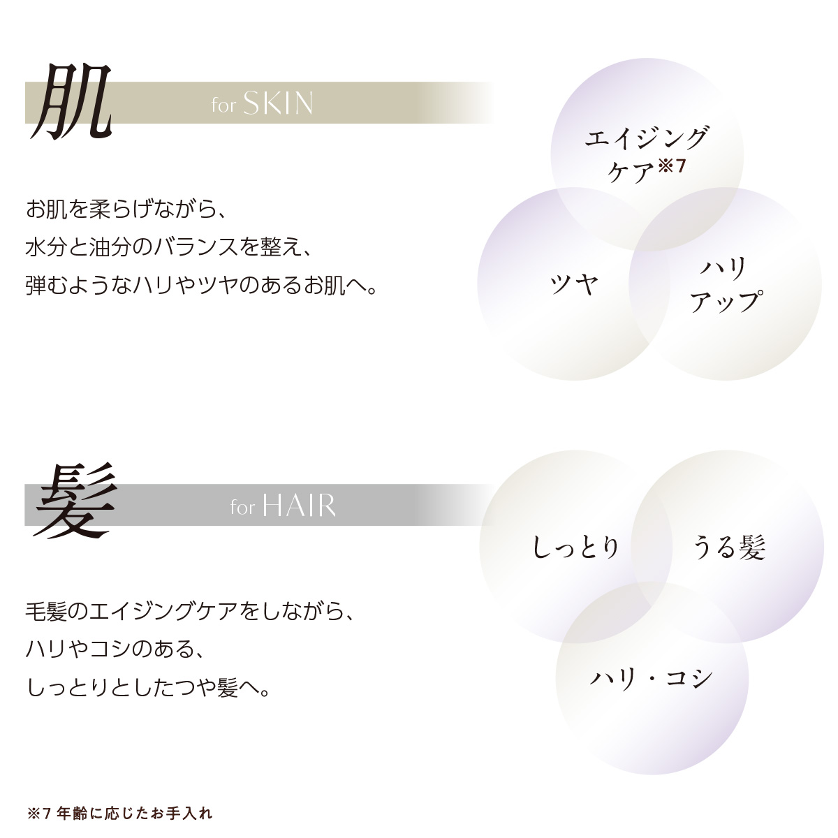 サロン ド ヒアロ オイルインセラム | Salon de Hyaro サロンドヒアロ