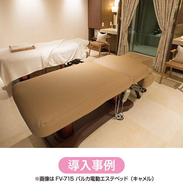 FV-712 バルカ電動エステベッド （キャメル） / プロ専用エステ・理