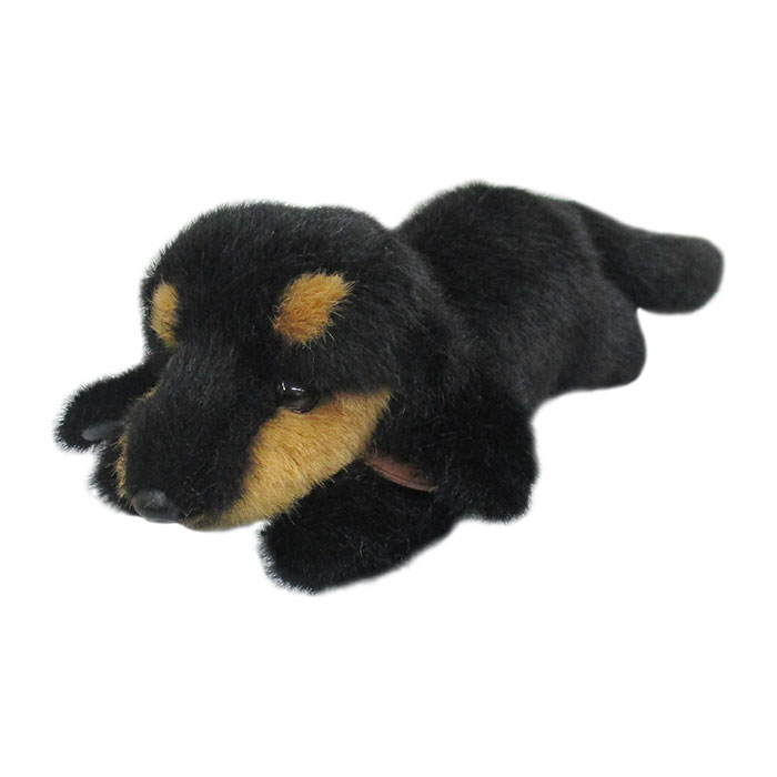 おねだりDOG ダックスフンド ブラック＆タン｜三英貿易株式会社