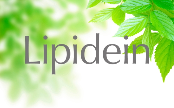 モイスチャーゲル | 株式会社サンベール