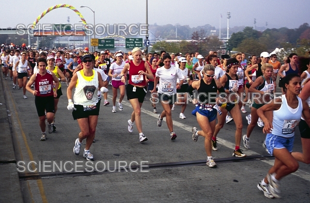 New York City Marathon 2005 | Stock Image - Science Source Images