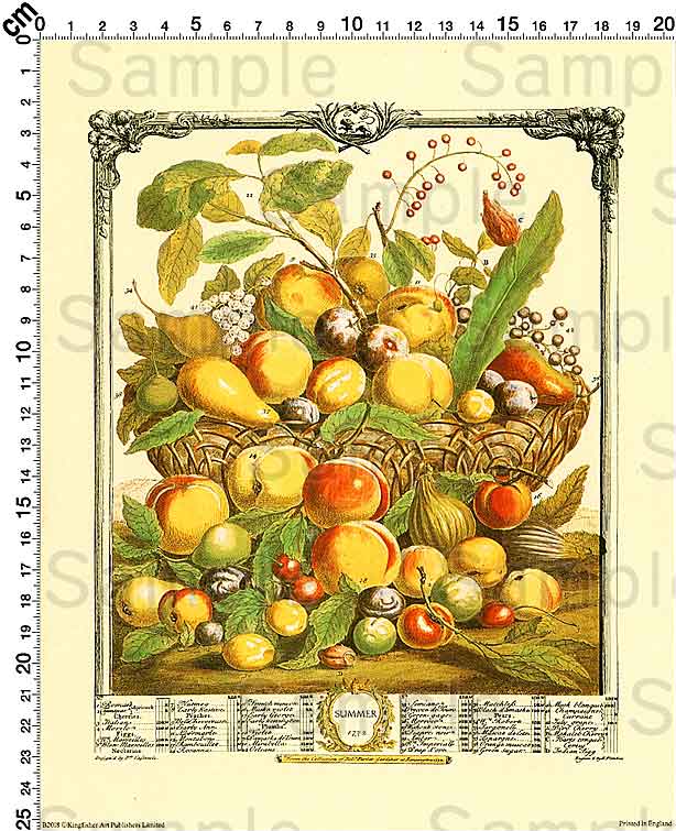 Furber's Twelve Months of Fruits Print